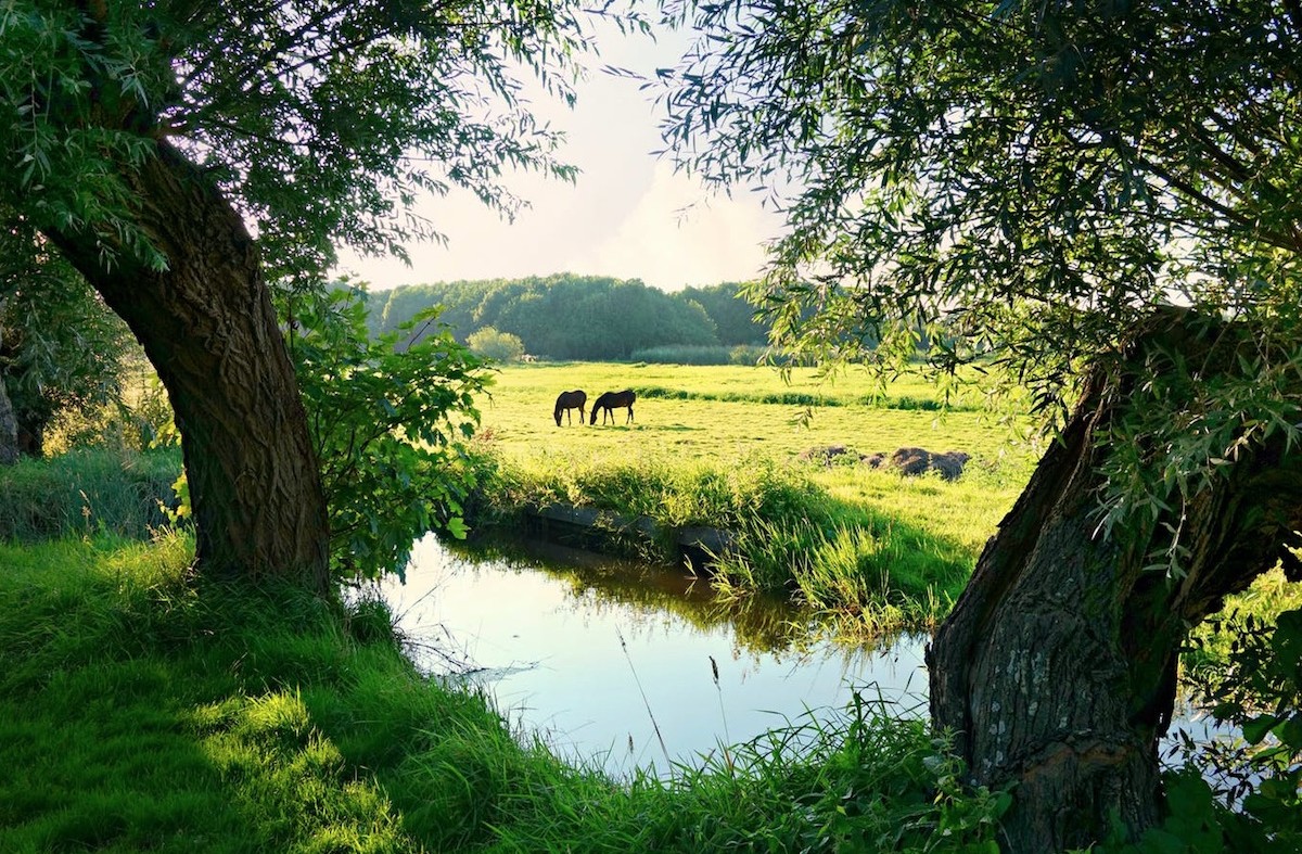 Op vakantie in Nederland, dit moet je weten