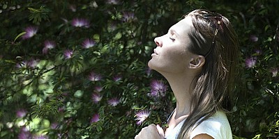 Ontspanning, Eten en Avontuur