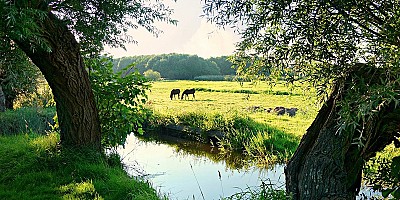 Op vakantie in Nederland, dit moet je weten