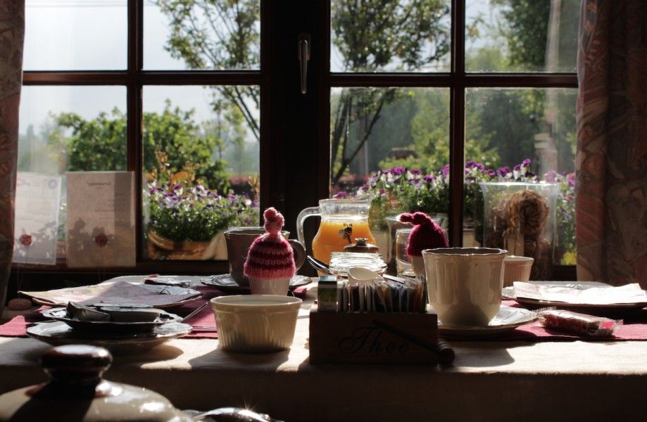 Sonniges Fruehstueck in der Fruehstueckspension Kerselarenhof in Waarschoot, Ostflandern, mit Blick auf bluehende Pflanzen.