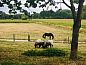 Guest house 021407 • Bed and Breakfast East Flanders • Vakantiehuisje in Oudenaarde  • 6 of 19
