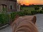Guest house 021407 • Bed and Breakfast East Flanders • Vakantiehuisje in Oudenaarde  • 8 of 19