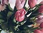 Verblijf 1212357 • Bed and breakfast Regio Brussel • B&B Le 36  • 1 van 26