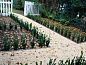 Verblijf 1212357 • Bed and breakfast Regio Brussel • B&B Le 36  • 6 van 26