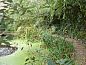 Guest house 370702 • Bed and Breakfast Hainaut • B&B Aquavert & Wellness  • 13 of 26