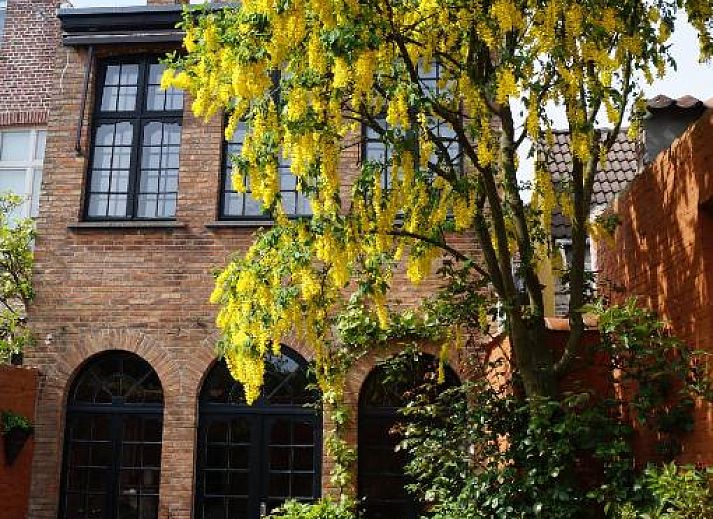 Verblijf 0101143 - Bed and breakfast West-Vlaanderen - B&B Next Door