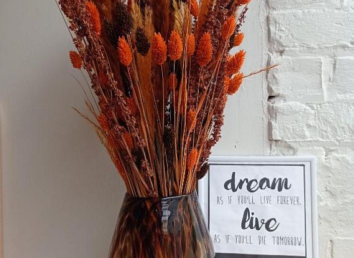 Verblijf 0101179 - Bed and breakfast West-Vlaanderen - B&B Emma