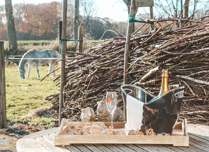 Hoeve Westdijk bed and breakfast aan het water in Brugge, West-Vlaanderen, omgeven door natuur en rust.