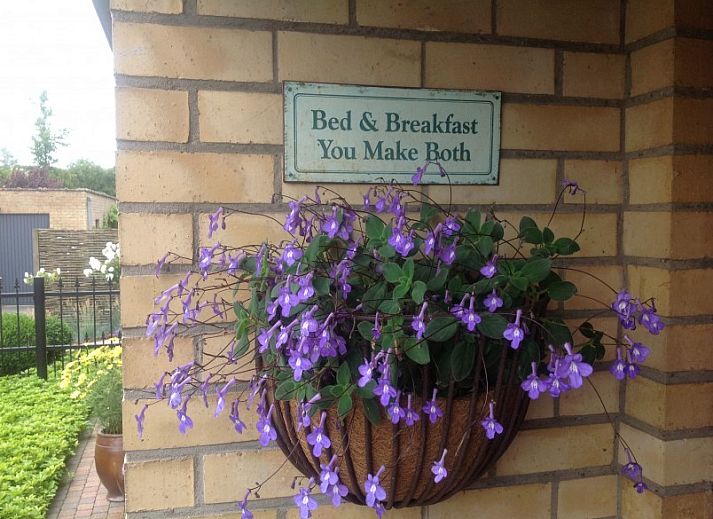 Verblijf 0101294 • Bed and breakfast West-Vlaanderen • B&B Het Abelenhof