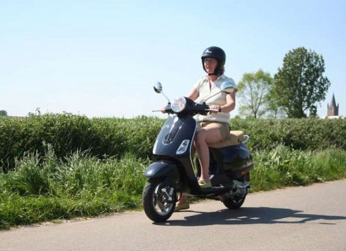 't Wolvennest B&B, Heuvelland: Gezellige tuin met terras en zitje in West-Vlaanderen, Belgie.