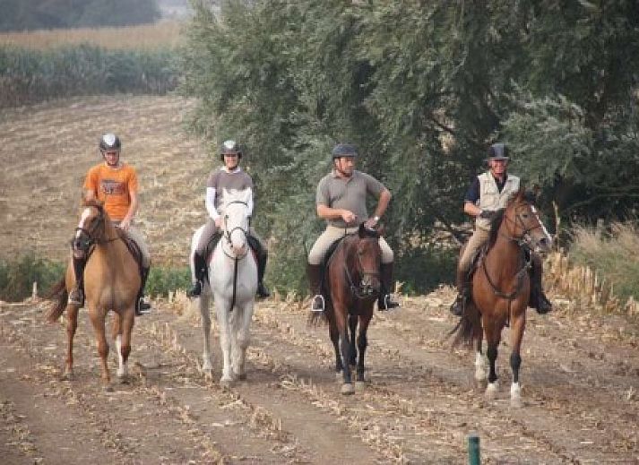 't Wolvennest B&B, Heuvelland: Gezellige tuin met terras en zitje in West-Vlaanderen, Belgie.