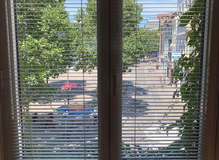 Guest house 010463 - Bed and Breakfast Antwerp - B&B Yellow Submarine