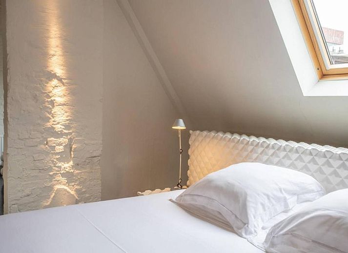 Guest house 010464 - Bed and Breakfast Antwerp - B&B Suites FEEK