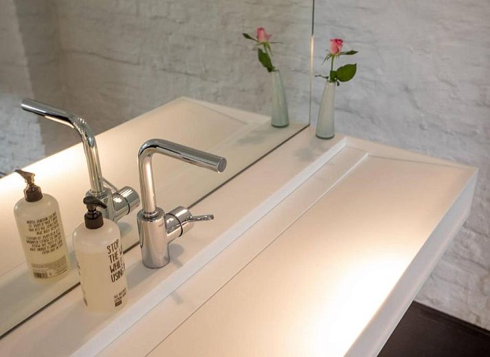 Guest house 010464 - Bed and Breakfast Antwerp - B&B Suites FEEK