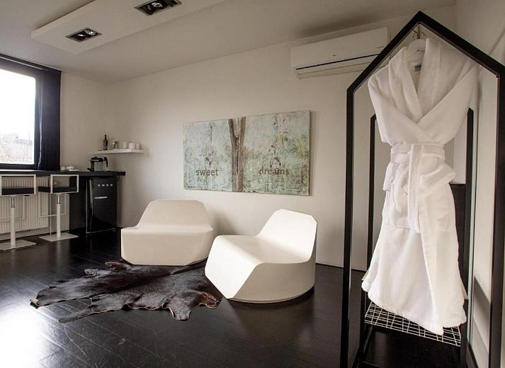 Guest house 010464 - Bed and Breakfast Antwerp - B&B Suites FEEK