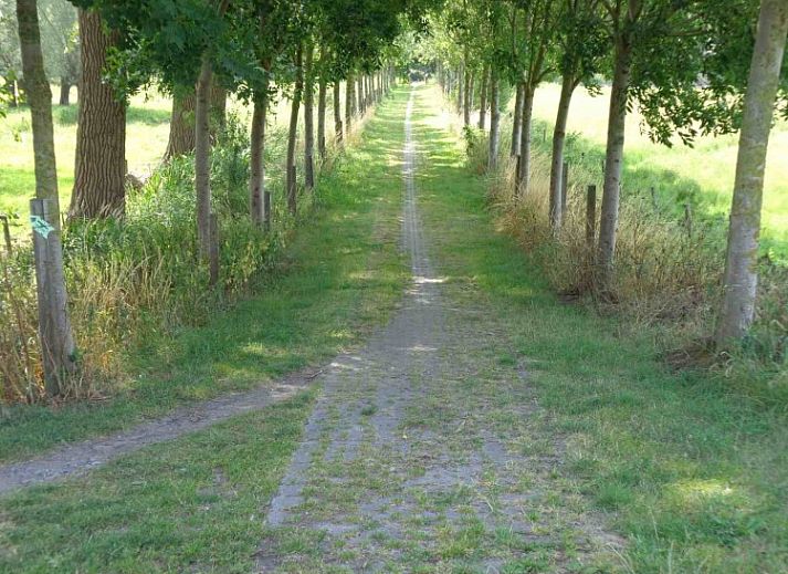 Erholsame Terrasse bei Bonvena bed and breakfast in Dentergem, umgeben von gruener Natur.