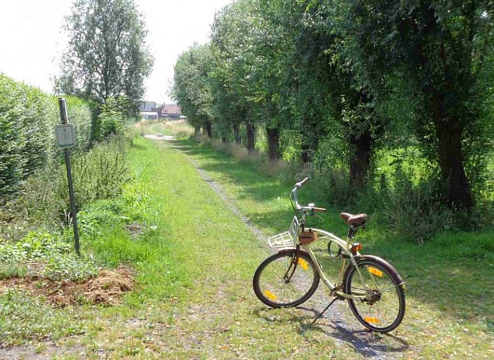 Erholsame Terrasse bei Bonvena bed and breakfast in Dentergem, umgeben von gruener Natur.