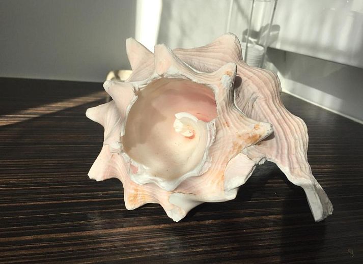 Verblijf 020114 - Bed and breakfast West-Vlaanderen - B&B Sabbajon