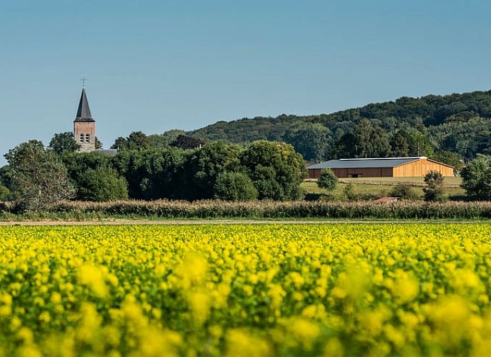 Guest house 021407 • Bed and Breakfast East Flanders • Vakantiehuisje in Oudenaarde