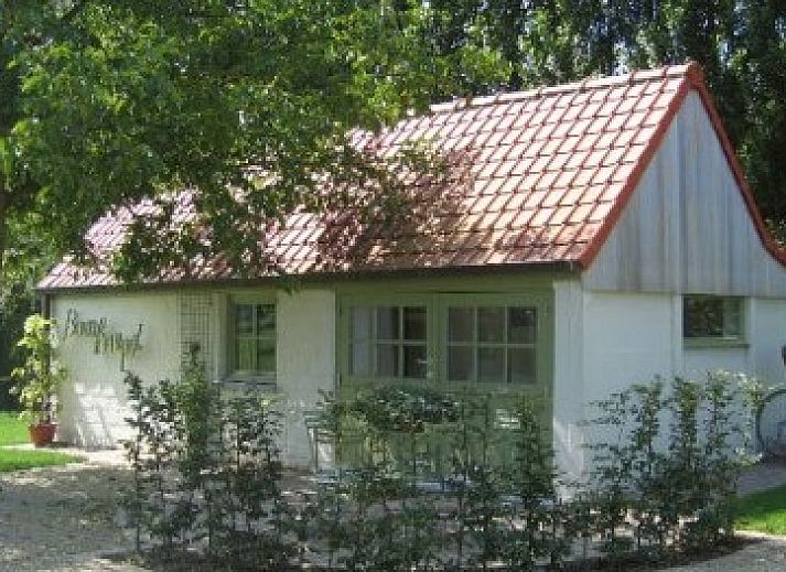 Verblijf 022402 • Bed and breakfast Oost-Vlaanderen • BOMLOZE PUT