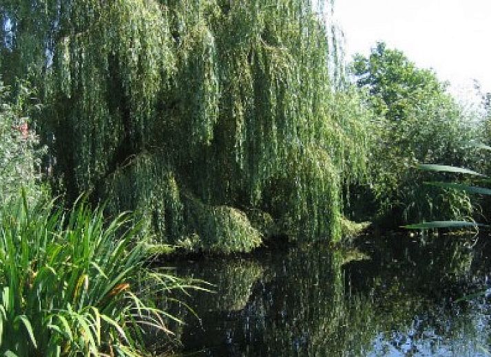 Charming vacation home BOMLOZE PUT in Sint-Laureins, Belgium with a rustic roof and surrounded by greenery.