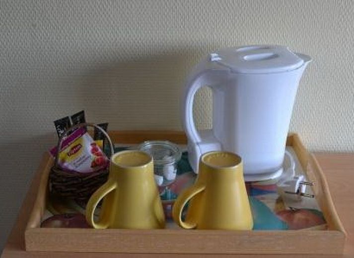 Geniet van de prachtige tuin bij Bed and Breakfast Martine Haerens in de Leiestreek, Oost-Vlaanderen, Belgie.