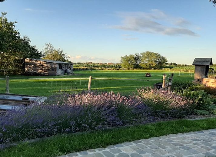 Guest house 0233704 • Bed and Breakfast East Flanders • Vakantiehuisje in Lievegem