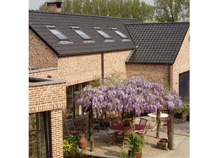 Guest house 030701 • Bed and Breakfast Flemish Brabant • Gastenverblijf Wisteria 