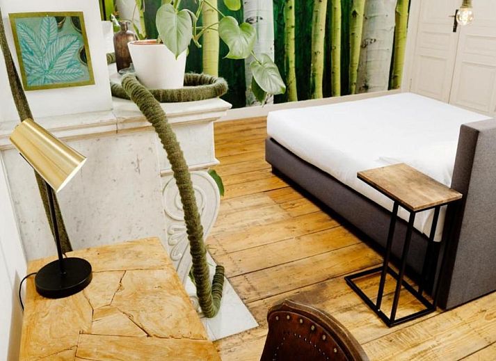 Verblijf 031227 - Bed and breakfast Regio Brussel - B&B DRUUM