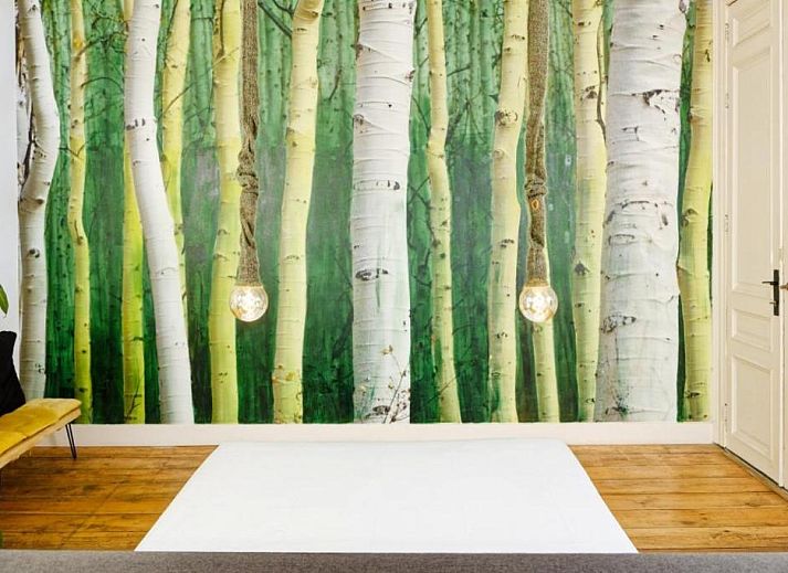 Verblijf 031227 - Bed and breakfast Regio Brussel - B&B DRUUM