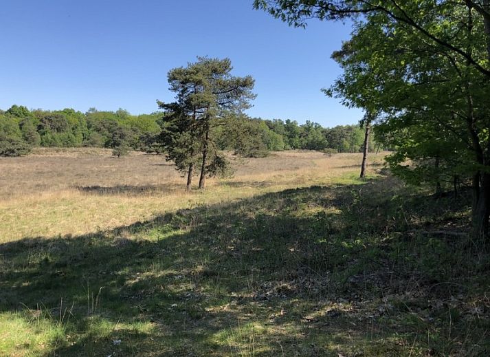 Stylish bedroom with double bed in B&B 't Mjeels Pierke, Meerle, Antwerp.