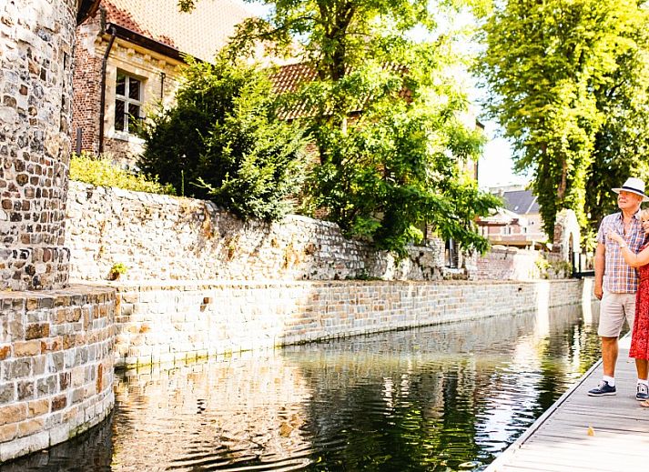 Cozy reading corner in B&B Viator Tongeren, Limburg with wine and plants for a relaxing stay.