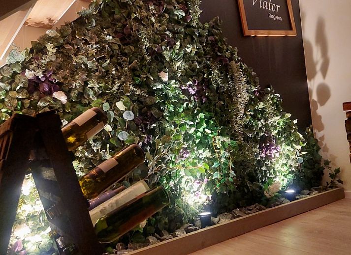 Cozy reading corner in B&B Viator Tongeren, Limburg with wine and plants for a relaxing stay.