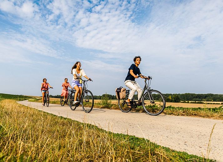 Cozy reading corner in B&B Viator Tongeren, Limburg with wine and plants for a relaxing stay.