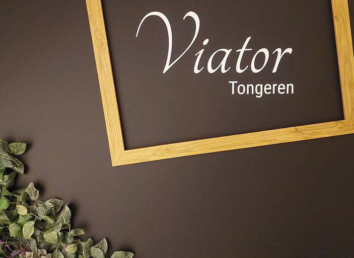Modern bathroom in B&B Viator Tongeren, Tongeren with stylish decor and comfortable amenities.