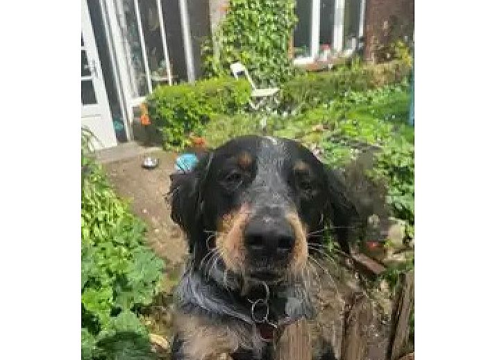 Stijlvolle keukenhoek met kleurrijke tegels bij Stay with the artist B&B in Teuven, Limburg.