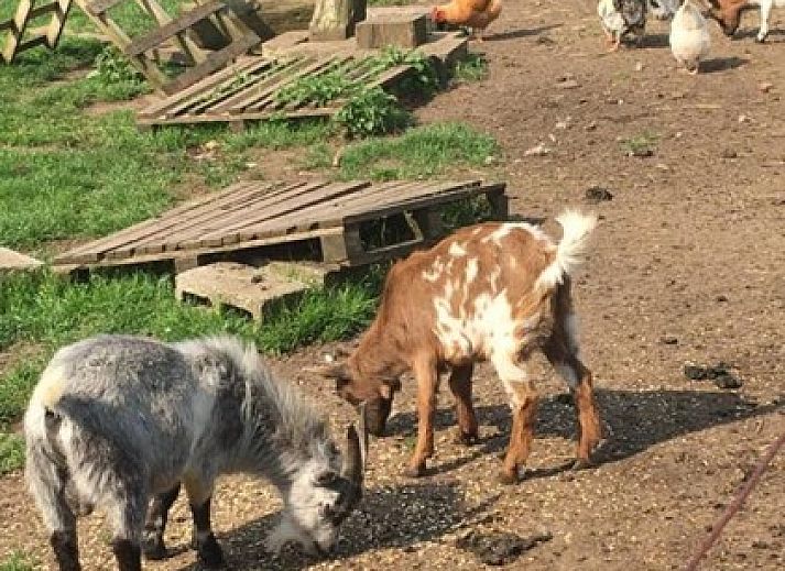 Gezellige slaapkamer in B&B Het Vuchterhof, Maasmechelen, Limburg, Belgie. Comfortabel verblijf met stijlvolle inrichting.
