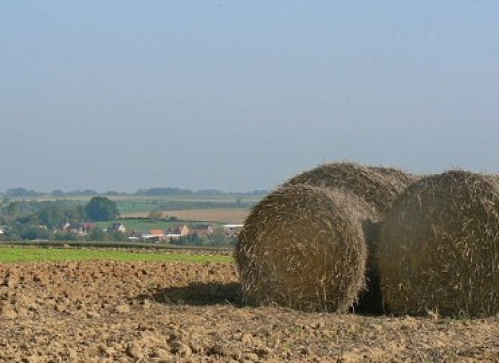 Gezellige binnenruimte van La Rose Laitiere in Saint Martin Sur Ecaillon, Henegouwen, met rustieke inrichting en zonlicht.