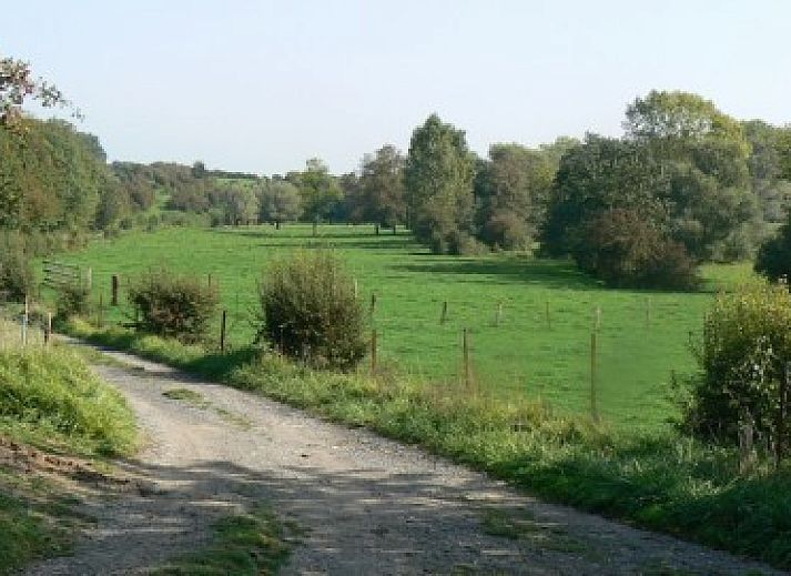 Gezellige binnenruimte van La Rose Laitiere in Saint Martin Sur Ecaillon, Henegouwen, met rustieke inrichting en zonlicht.