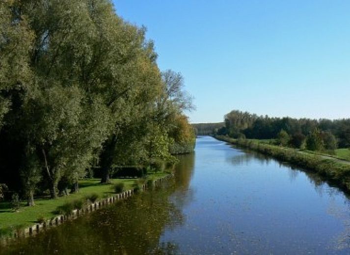 Gezellige binnenruimte van La Rose Laitiere in Saint Martin Sur Ecaillon, Henegouwen, met rustieke inrichting en zonlicht.