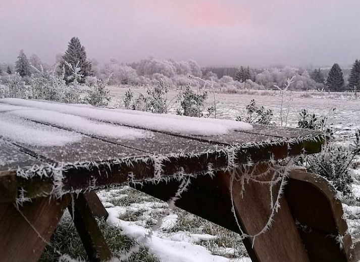 Rustieke charme van Huisje in Tailles, bed and breakfast in de Ardennen, met stenen gevel en groene tuin.