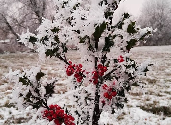 Luchtfoto van Huisje in Tailles, bed and breakfast in de groene landschappen van de Ardennen, Luxemburg, Belgie.