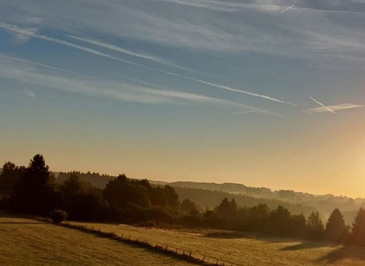 Collage van Vakantiehuisje in Tailles, Ardennen. Gezellige kamers en prachtige natuuromgeving in bed and breakfast stijl.