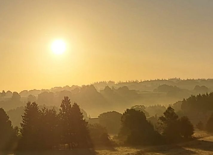 Collage van Vakantiehuisje in Tailles, Ardennen. Gezellige kamers en prachtige natuuromgeving in bed and breakfast stijl.