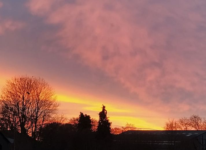 Uitzicht op groene omgeving vanaf het terras van Vakantiehuis in Bertogne, bed and breakfast in de Ardennen, Belgie.
