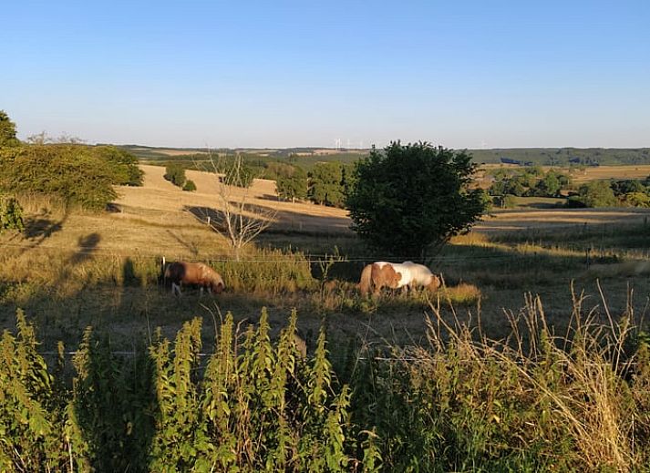 Gezellig buitenterras bij Vakantiehuis in Bertogne, bed and breakfast in de Ardennen, Luxemburg, Belgie.
