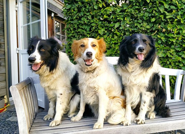 Comfortabele binnenruimte met zitgedeelte in Vakantiehuis in Bertogne, bed and breakfast in de Ardennen, Belgie.