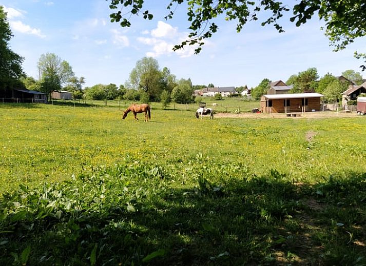 Comfortabele binnenruimte met zitgedeelte in Vakantiehuis in Bertogne, bed and breakfast in de Ardennen, Belgie.