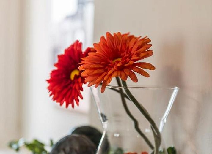 Verblijf 1000201 - Bed and breakfast Oost-Vlaanderen - De Perenboom