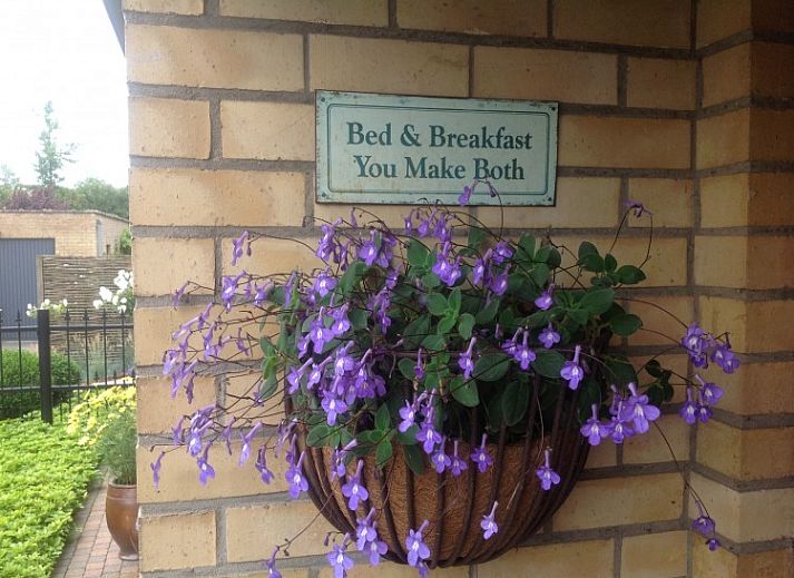 Verblijf 115901 • Bed and breakfast Belgische kust • B&B Het Abelenhof